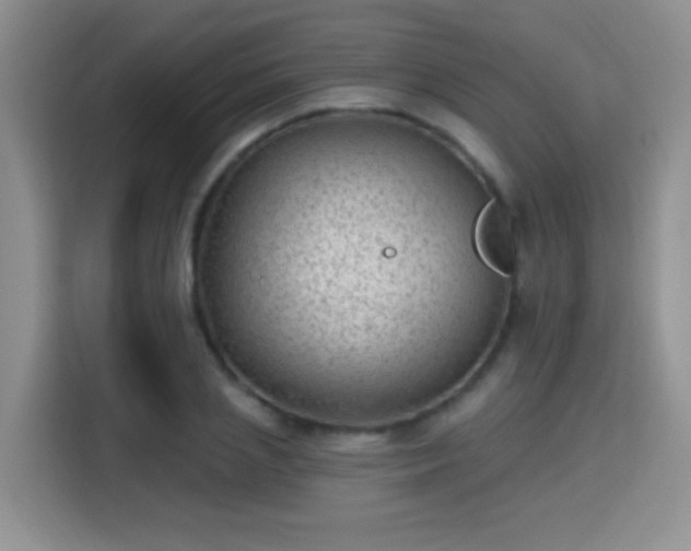 X0000115380837200911101305