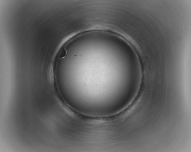X0000115380838200911101305