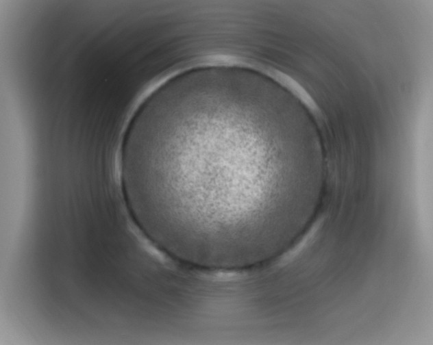 X0000115380839200911101305