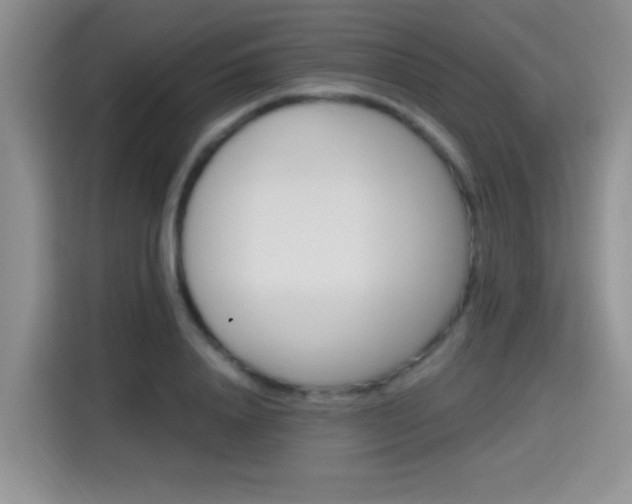 X0000115380840200911101305