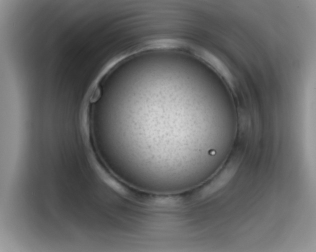 X0000115380843200911101305