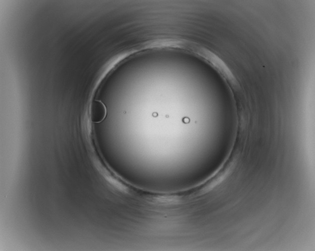 X0000115380844200911101305