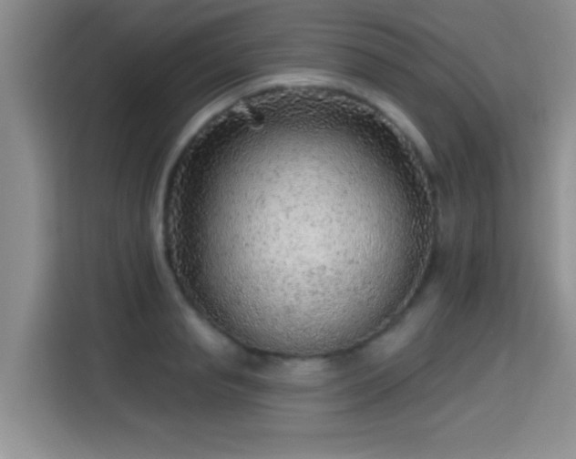 X0000115380845200911101305