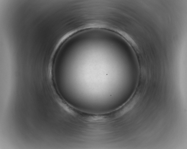 X0000115380846200911101305