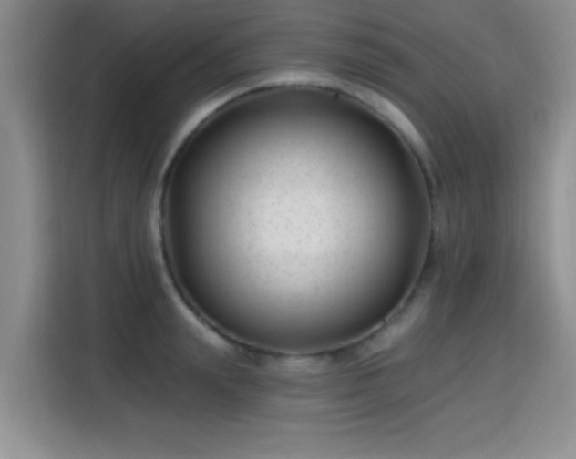 X0000115380847200911101305