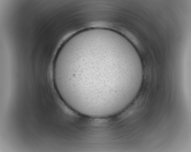 X0000115380848200911101305