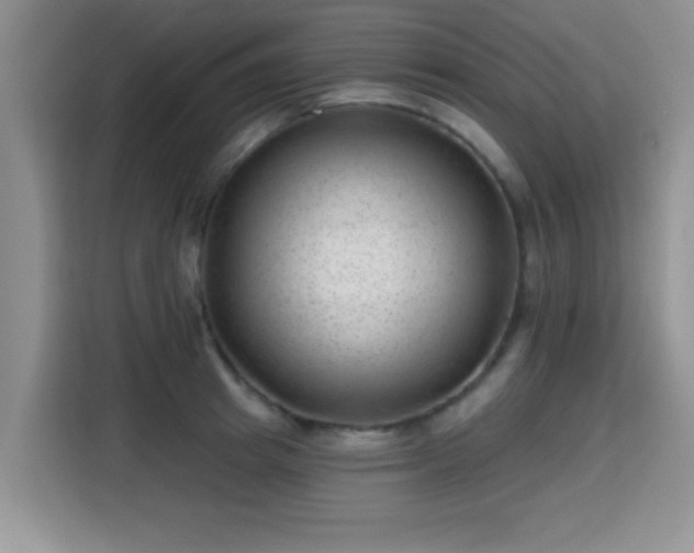 X0000115380849200911101305