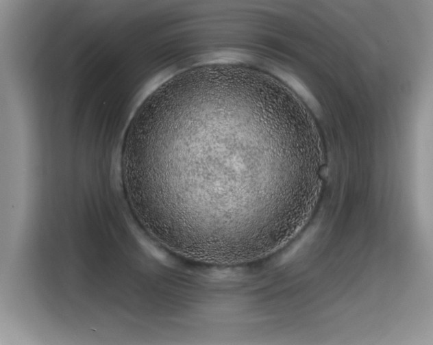 X0000115380850200911101305