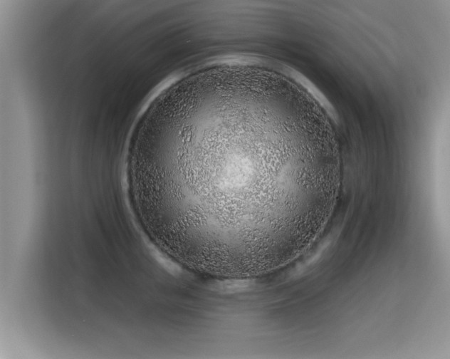 X0000115380853200911101305