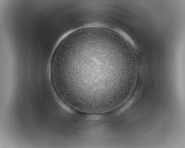 X0000115380854200911101305