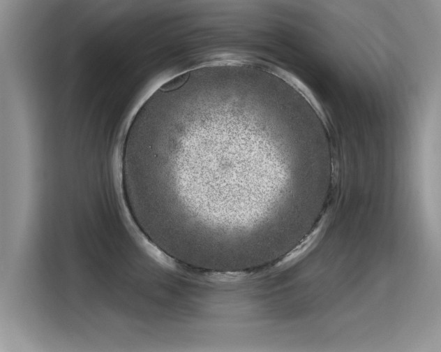 X0000115380859200911101305