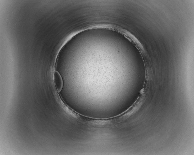 X0000115380860200911101305