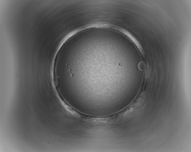 X0000115380861200911101305