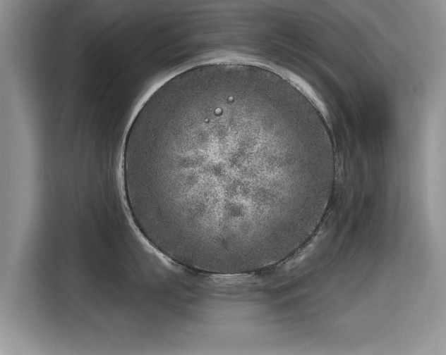 X0000115380863200911101305