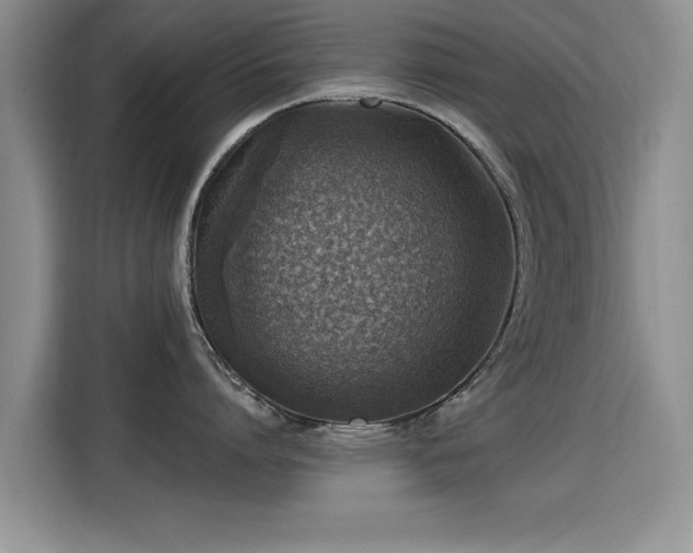 X0000115380864200911101305