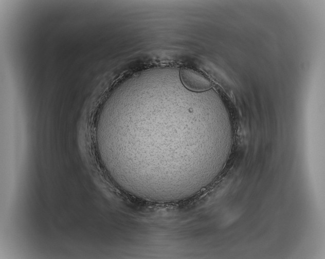 X0000115380865200911101304