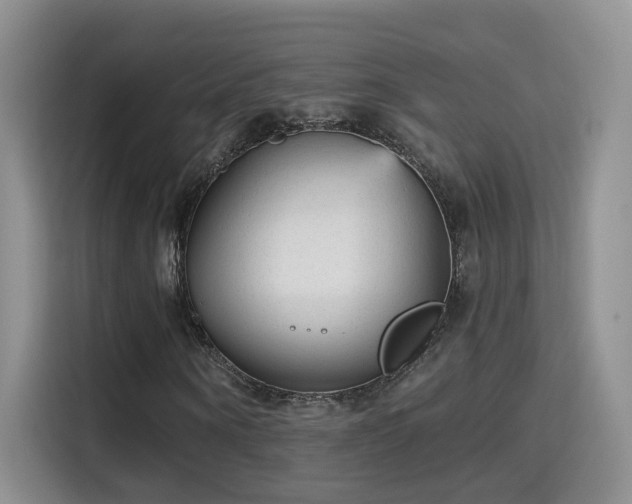 X0000115380866200911101304