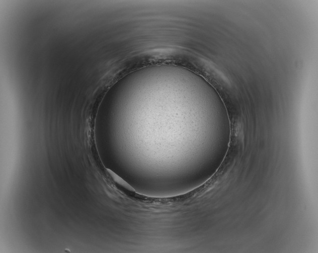 X0000115380868200911101304