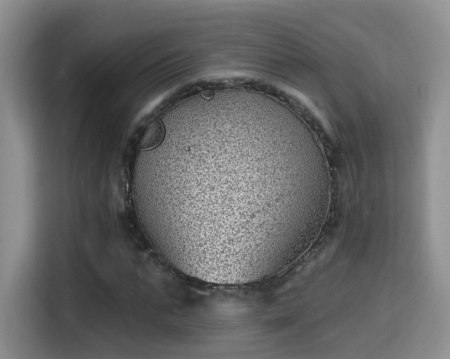 X0000115380871200911101304