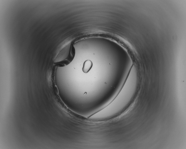 X0000115380873200911101304