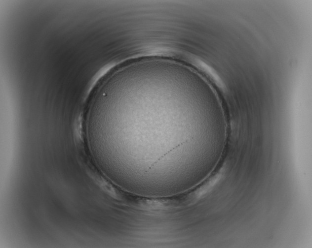 X0000115380875200911101304