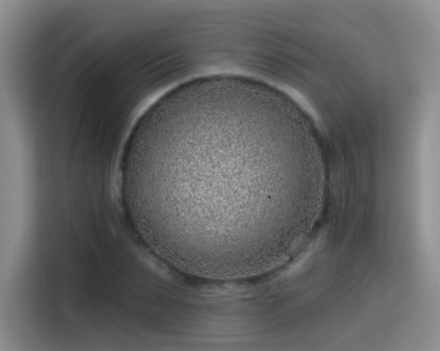 X0000115380879200911101304