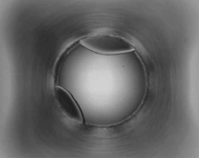 X0000115380880200911101304