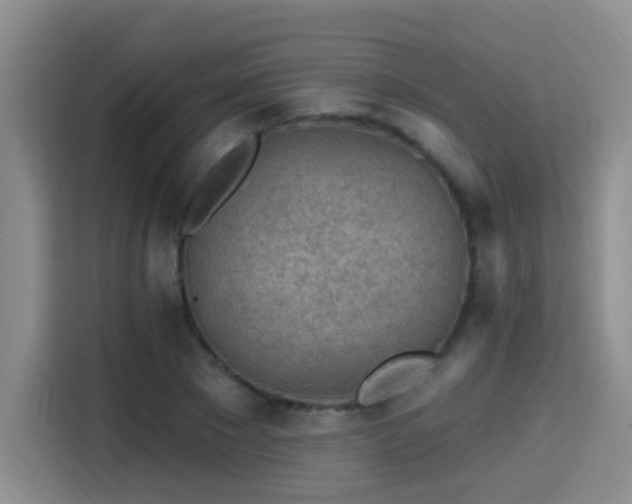 X0000115380881200911101304