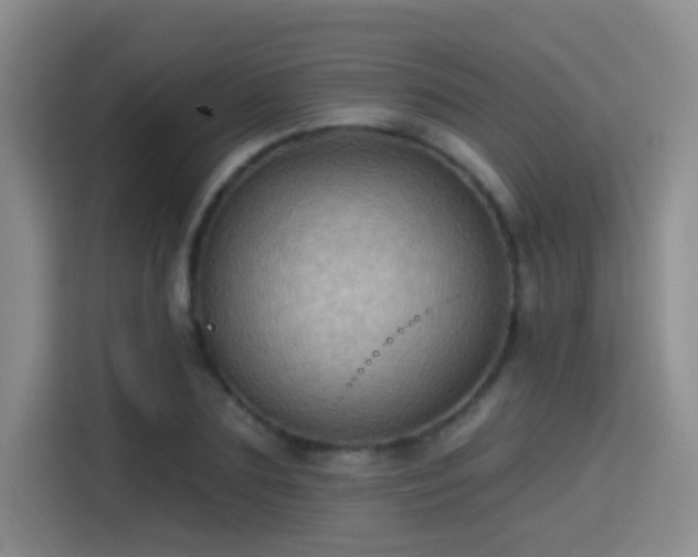 X0000115380883200911101304