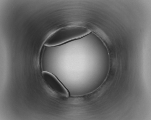X0000115380884200911101304