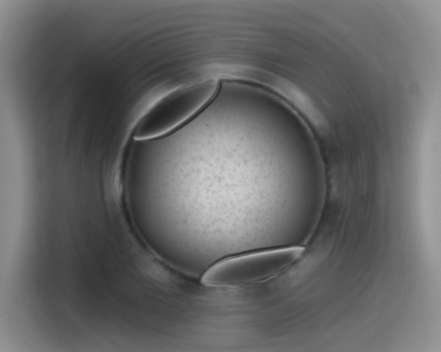 X0000115380885200911101304