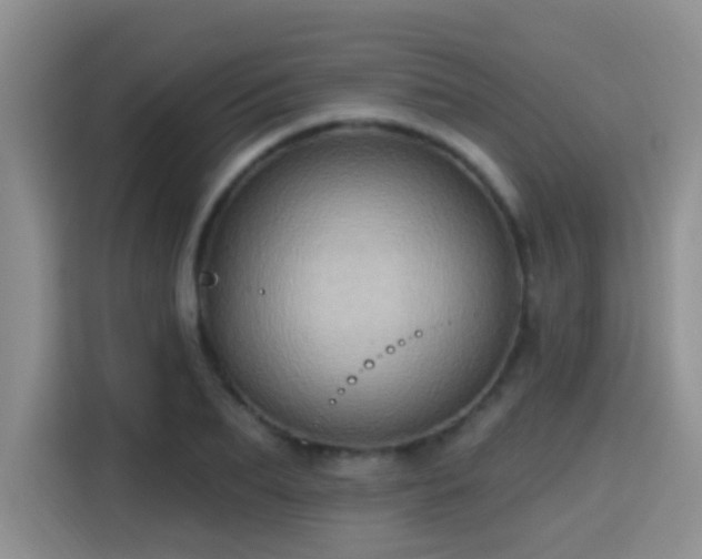 X0000115380887200911101304