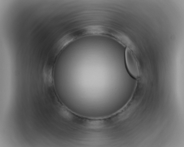 X0000115380889200911101304