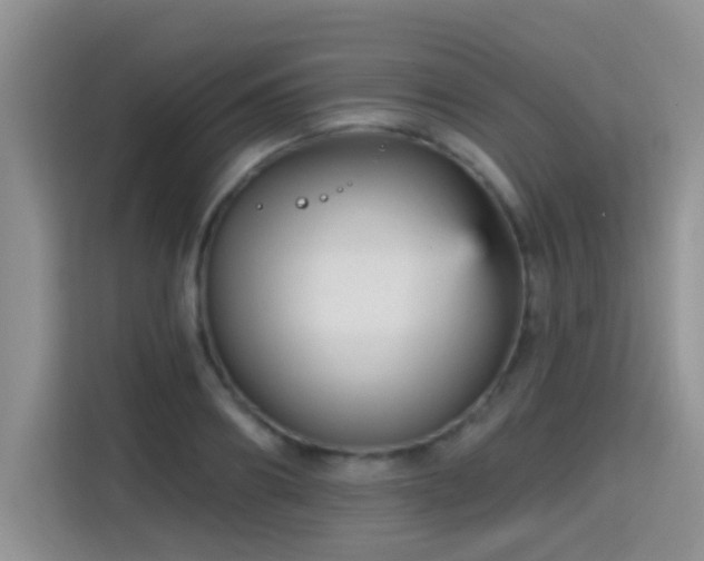 X0000115380890200911101304