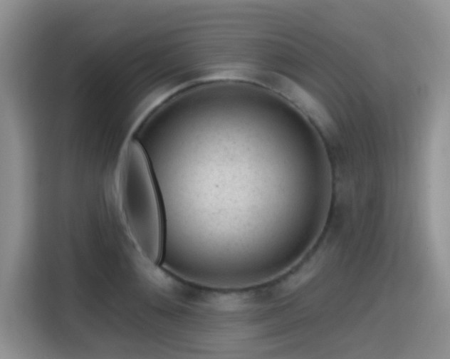 X0000115380892200911101304
