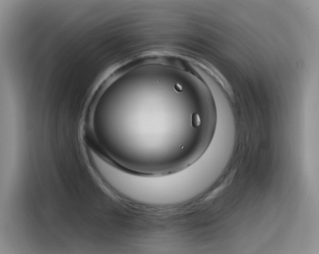 X0000115380893200911101304