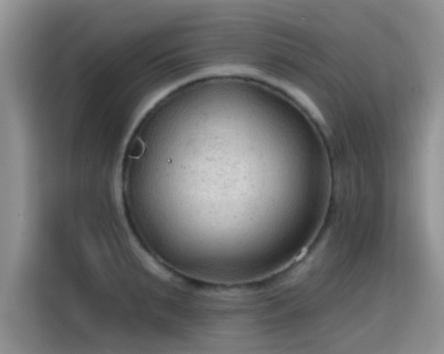 X0000115380895200911101304