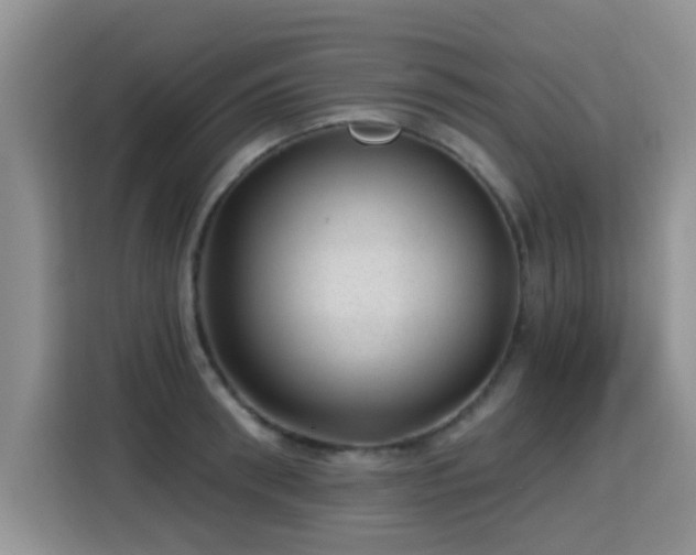 X0000115380898200911101304