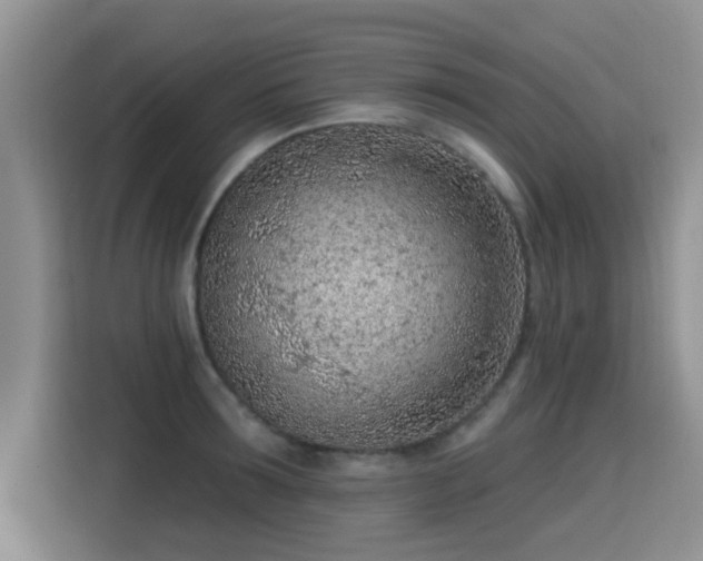X0000115380899200911101304
