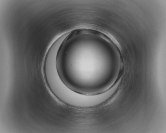 X0000115380901200911101304