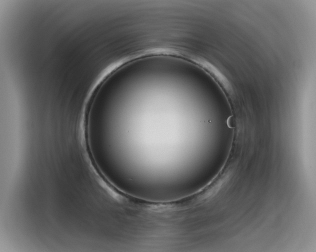 X0000115380902200911101304