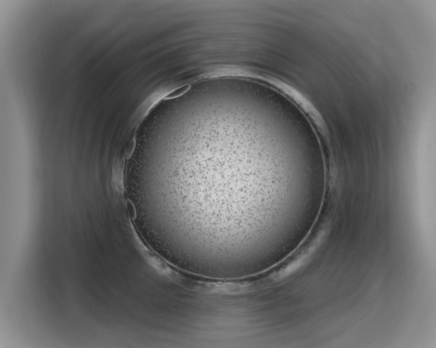 X0000115380905200911101304
