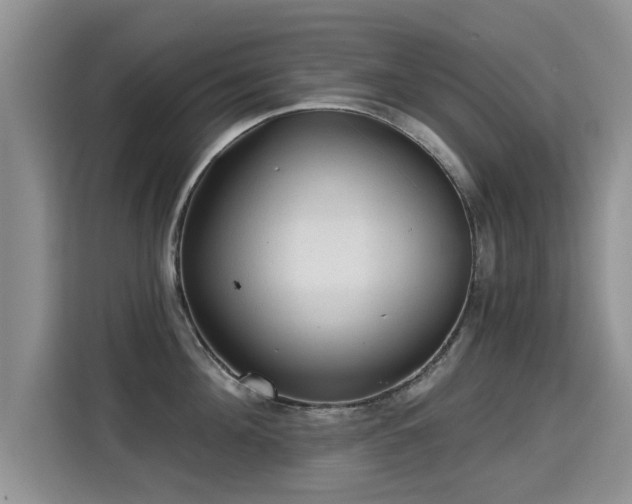 X0000115380908200911101304