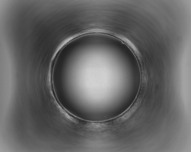 X0000115380910200911101304