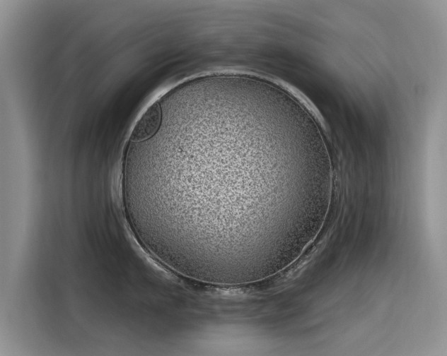 X0000115380911200911101304