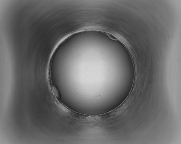 X0000115380912200911101304