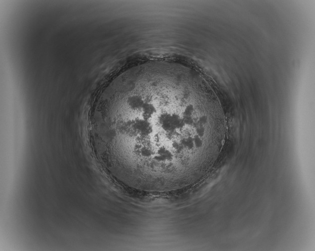 X0000115380913200911101303