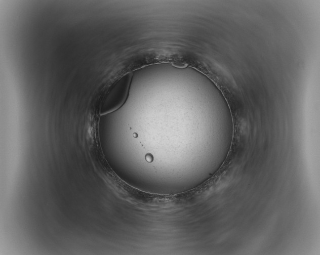 X0000115380914200911101303