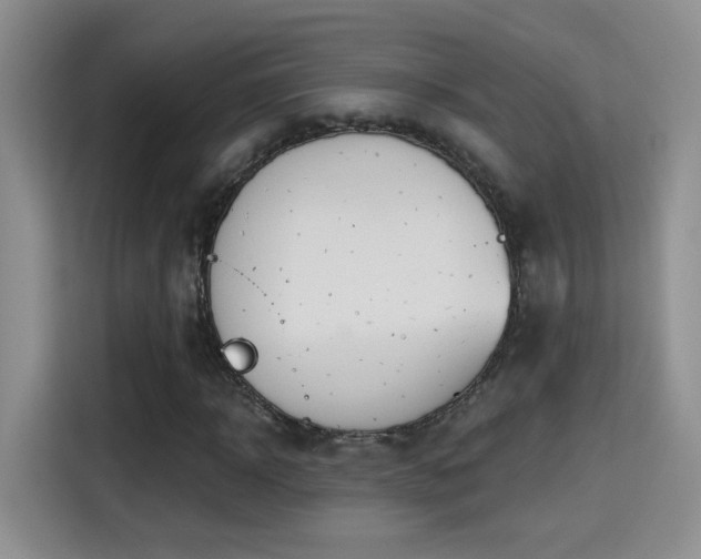 X0000115380918200911101303