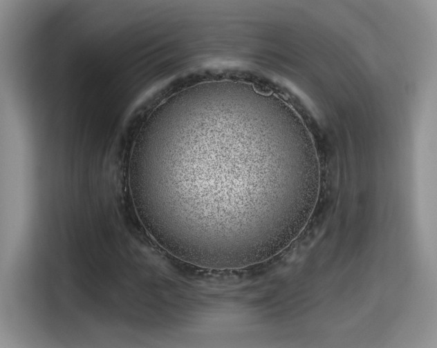 X0000115380919200911101303